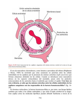 Neuroanatomia_Clinica_Snell_7a_Edicion_b.pdf