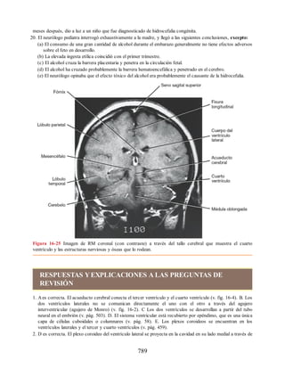 Neuroanatomia_Clinica_Snell_7a_Edicion_b.pdf
