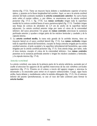 Neuroanatomia_Clinica_Snell_7a_Edicion_b.pdf