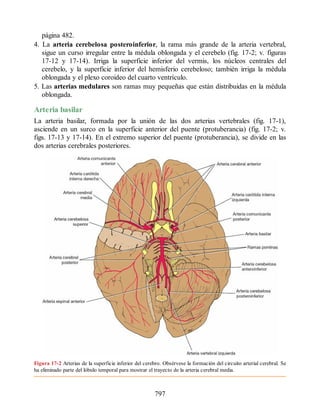 Neuroanatomia_Clinica_Snell_7a_Edicion_b.pdf