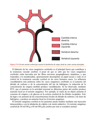 Neuroanatomia_Clinica_Snell_7a_Edicion_b.pdf