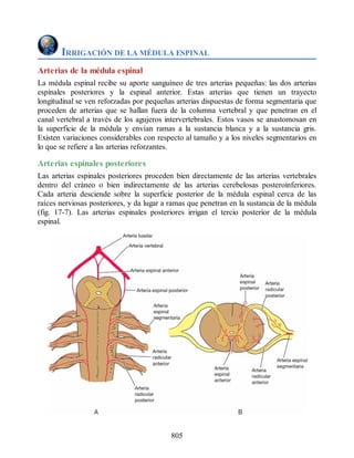 Neuroanatomia_Clinica_Snell_7a_Edicion_b.pdf