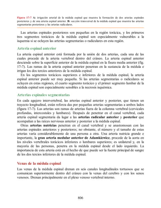 Neuroanatomia_Clinica_Snell_7a_Edicion_b.pdf