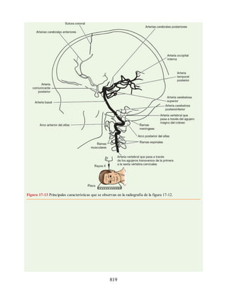 Neuroanatomia_Clinica_Snell_7a_Edicion_b.pdf