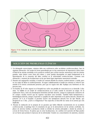 Neuroanatomia_Clinica_Snell_7a_Edicion_b.pdf