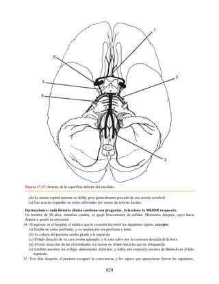 Neuroanatomia_Clinica_Snell_7a_Edicion_b.pdf