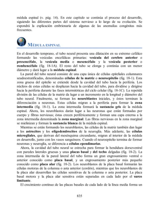 Neuroanatomia_Clinica_Snell_7a_Edicion_b.pdf