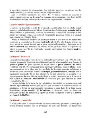 Neuroanatomia_Clinica_Snell_7a_Edicion_b.pdf