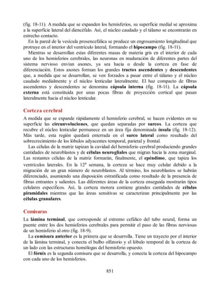 Neuroanatomia_Clinica_Snell_7a_Edicion_b.pdf