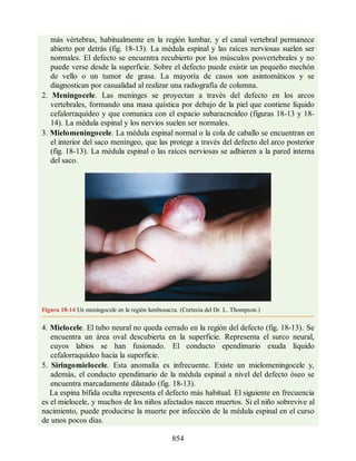 Neuroanatomia_Clinica_Snell_7a_Edicion_b.pdf