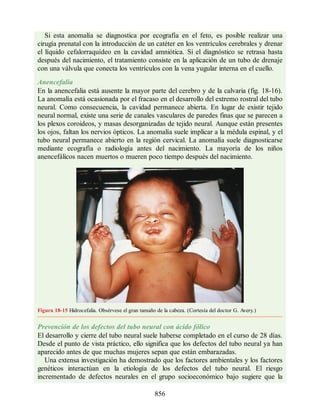Neuroanatomia_Clinica_Snell_7a_Edicion_b.pdf