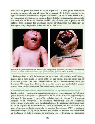 Neuroanatomia_Clinica_Snell_7a_Edicion_b.pdf