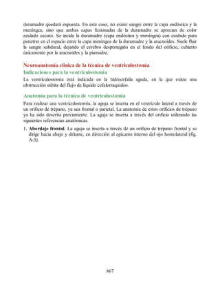 Neuroanatomia_Clinica_Snell_7a_Edicion_b.pdf