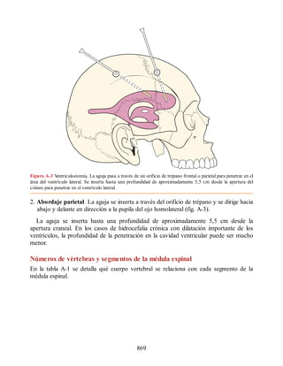 Neuroanatomia_Clinica_Snell_7a_Edicion_b.pdf