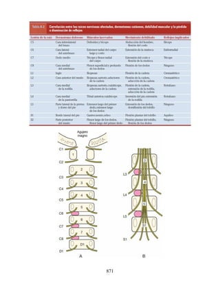 Neuroanatomia_Clinica_Snell_7a_Edicion_b.pdf