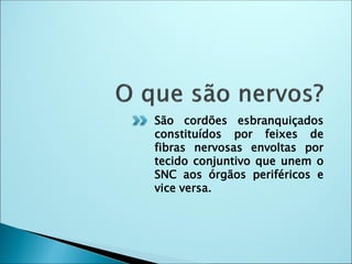 São cordões esbranquiçados
constituídos por feixes de
fibras nervosas envoltas por
tecido conjuntivo que unem o
SNC aos órgãos periféricos e
vice versa.
 