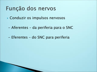  Conduzir os impulsos nervosos
- Aferentes – da periferia para o SNC
- Eferentes – do SNC para periferia
 