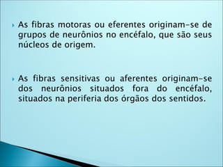  As fibras motoras ou eferentes originam-se de
grupos de neurônios no encéfalo, que são seus
núcleos de origem.
 As fibras sensitivas ou aferentes originam-se
dos neurônios situados fora do encéfalo,
situados na periferia dos órgãos dos sentidos.
 