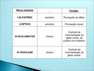 Nervo craniano Função
I-OLFATÓRIO sensitiva Percepção do olfato.
II-ÓPTICO sensitiva Percepção visual.
III-OCULOMOTOR motora
Controle da
movimentação do
globo ocular, da
pupila e do cristalino.
IV-TROCLEAR motora
Controle da
movimentação do
globo ocular.
 