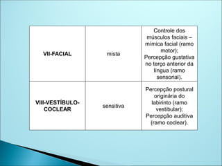 VII-FACIAL mista
Controle dos
músculos faciais –
mímica facial (ramo
motor);
Percepção gustativa
no terço anterior da
língua (ramo
sensorial).
VIII-VESTÍBULO-
COCLEAR
sensitiva
Percepção postural
originária do
labirinto (ramo
vestibular);
Percepção auditiva
(ramo coclear).
 