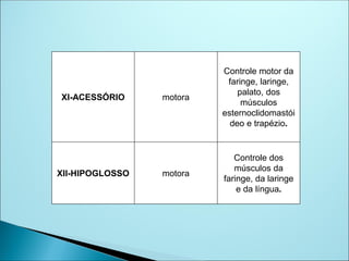 XI-ACESSÓRIO motora
Controle motor da
faringe, laringe,
palato, dos
músculos
esternoclidomastói
deo e trapézio.
XII-HIPOGLOSSO motora
Controle dos
músculos da
faringe, da laringe
e da língua.
 