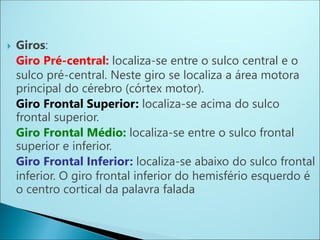  Giros:
Giro Pré-central: localiza-se entre o sulco central e o
sulco pré-central. Neste giro se localiza a área motora
principal do cérebro (córtex motor).
Giro Frontal Superior: localiza-se acima do sulco
frontal superior.
Giro Frontal Médio: localiza-se entre o sulco frontal
superior e inferior.
Giro Frontal Inferior: localiza-se abaixo do sulco frontal
inferior. O giro frontal inferior do hemisfério esquerdo é
o centro cortical da palavra falada
 
