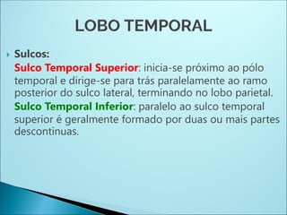  Sulcos:
Sulco Temporal Superior: inicia-se próximo ao pólo
temporal e dirige-se para trás paralelamente ao ramo
posterior do sulco lateral, terminando no lobo parietal.
Sulco Temporal Inferior: paralelo ao sulco temporal
superior é geralmente formado por duas ou mais partes
descontinuas.
 