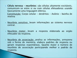  Célula nervosa – neurônios: são células altamente excitáveis,
comunicam-se entre si ou com células efetuadoras usando
basicamente uma linguagem elétrica.
Constituição: Corpo celular – dendritos – Axônio – bainha de
mielina
 Neurônio sensitivo: levam informações ao sistema nervoso
central.
 Neurônio motor: levam a resposta elaborada ao orgão
efetuador da resposta.
 Neurônio de associação: analisa as informações, armazena
sob a forma de memória, elabora padrões de resposta ou
geram respostas espontâneas. Quanto maior o número de
neurônio de associação participando melhor o padrão da
resposta.
 