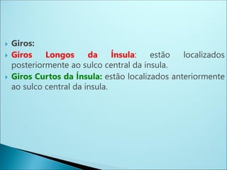  Giros:
 Giros Longos da Ínsula: estão localizados
posteriormente ao sulco central da ínsula.
 Giros Curtos da Ínsula: estão localizados anteriormente
ao sulco central da ínsula.
 