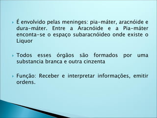  É envolvido pelas meninges: pia-máter, aracnóide e
dura-máter. Entre a Aracnóide e a Pia-máter
enconta-se o espaço subaracnóideo onde existe o
Liquor
 Todos esses órgãos são formados por uma
substancia branca e outra cinzenta
 Função: Receber e interpretar informações, emitir
ordens.
 