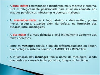  A dura-máter corresponde a membrana mais espessa e externa.
Está estrategicamente posicionada para atuar no combate aos
ataques patológicos infectantes e doenças malignas
 A aracnóide-máter está logo abaixo a dura-máter, porém
menos espessa, atuando além da defesa, na formação dos
espaços intra-meningicos
 A pia-máter é a mais delgada e está intimamente aderente aos
feixes nervosos.
 Entre as meninges circula o líquido cefalorraquidiano ou líquor,
que protege o sistema nervoso – AMORTECER IMPACTOS
 A inflamação das meninges tem o nome de meningite, sendo
que pode ser causada tanto por vírus, fungos ou bactérias.
 