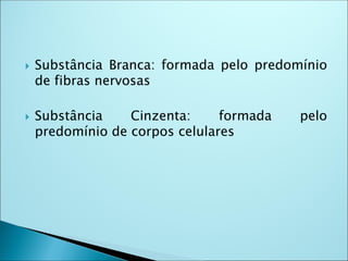  Substância Branca: formada pelo predomínio
de fibras nervosas
 Substância Cinzenta: formada pelo
predomínio de corpos celulares
 