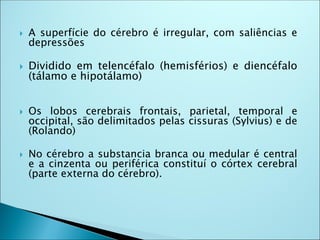  A superfície do cérebro é irregular, com saliências e
depressões
 Dividido em telencéfalo (hemisférios) e diencéfalo
(tálamo e hipotálamo)
 Os lobos cerebrais frontais, parietal, temporal e
occipital, são delimitados pelas cissuras (Sylvius) e de
(Rolando)
 No cérebro a substancia branca ou medular é central
e a cinzenta ou periférica constituí o córtex cerebral
(parte externa do cérebro).
 