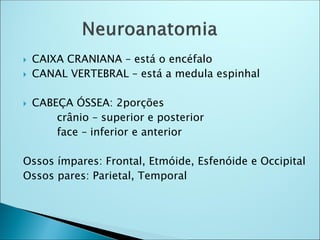  CAIXA CRANIANA – está o encéfalo
 CANAL VERTEBRAL – está a medula espinhal
 CABEÇA ÓSSEA: 2porções
crânio – superior e posterior
face – inferior e anterior
Ossos ímpares: Frontal, Etmóide, Esfenóide e Occipital
Ossos pares: Parietal, Temporal
 