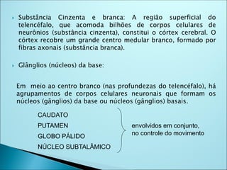  Substância Cinzenta e branca: A região superficial do
telencéfalo, que acomoda bilhões de corpos celulares de
neurônios (substância cinzenta), constitui o córtex cerebral. O
córtex recobre um grande centro medular branco, formado por
fibras axonais (substância branca).
 Glânglios (núcleos) da base:
Em meio ao centro branco (nas profundezas do telencéfalo), há
agrupamentos de corpos celulares neuronais que formam os
núcleos (gânglios) da base ou núcleos (gânglios) basais.
CAUDATO
PUTAMEN
GLOBO PÁLIDO
NÚCLEO SUBTALÂMICO
envolvidos em conjunto,
no controle do movimento
 