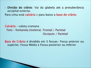 Divisão do crânio: Vai da glabela até a protuberância
occipital externa.
Para cima está calvária e para baixo a base do crânio.
Calvária – calota craniana
Feto – fontanela (moleira) Frontal / Parietal
Occiputs / Parietal
Base do Crânio é dividida em 3 fossas– Fossa anterior ou
superior, Fossa Média e Fossa posterior ou Inferior
 