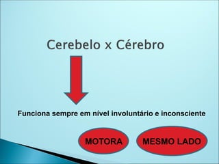 Funciona sempre em nível involuntário e inconsciente
MOTORA MESMO LADO
 