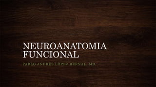 NEUROANATOMIA
FUNCIONAL
PABLO ANDRÉS LÓPEZ BERNAL, MD.
 