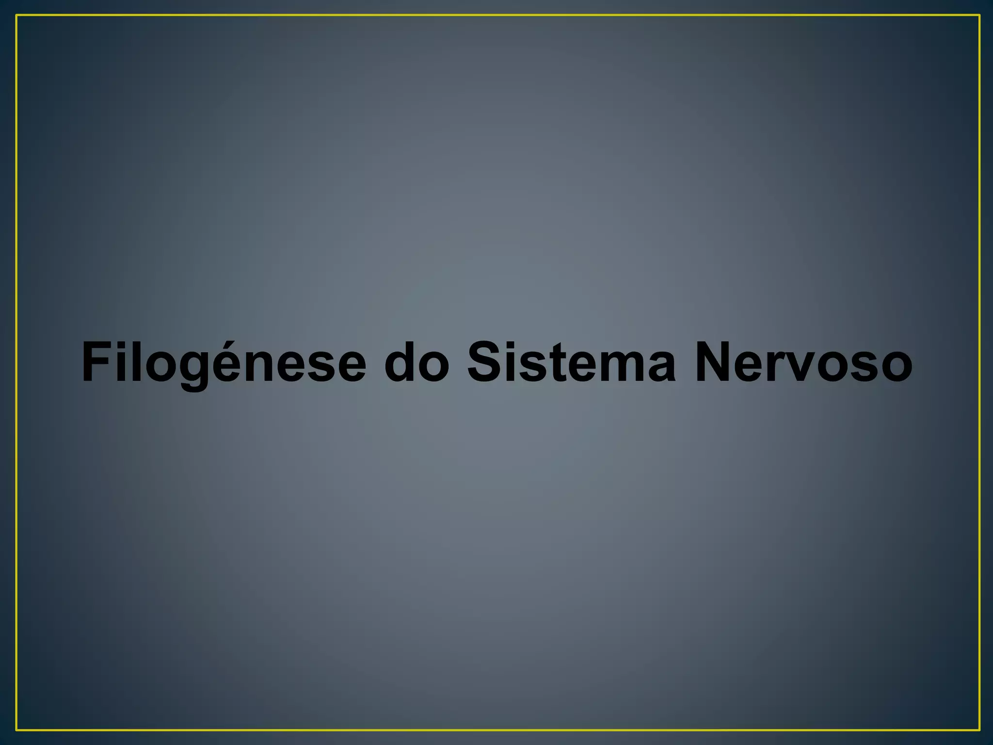 Filogénese do Sistema Nervoso
 