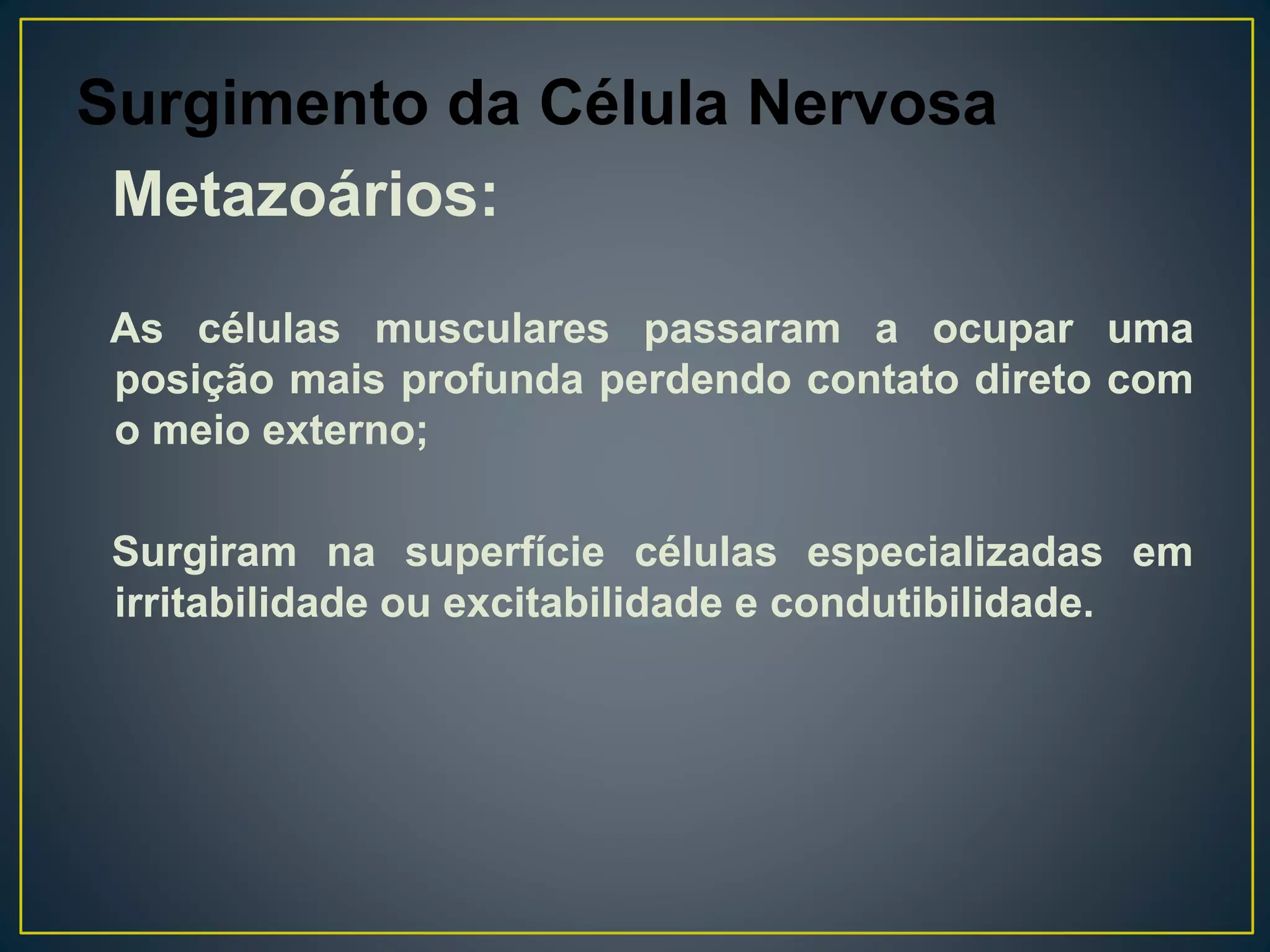 Surgimento da Célula Nervosa
Metazoários:
As células musculares passaram a ocupar uma
posição mais profunda perdendo contato direto com
o meio externo;
Surgiram na superfície células especializadas em
irritabilidade ou excitabilidade e condutibilidade.
 