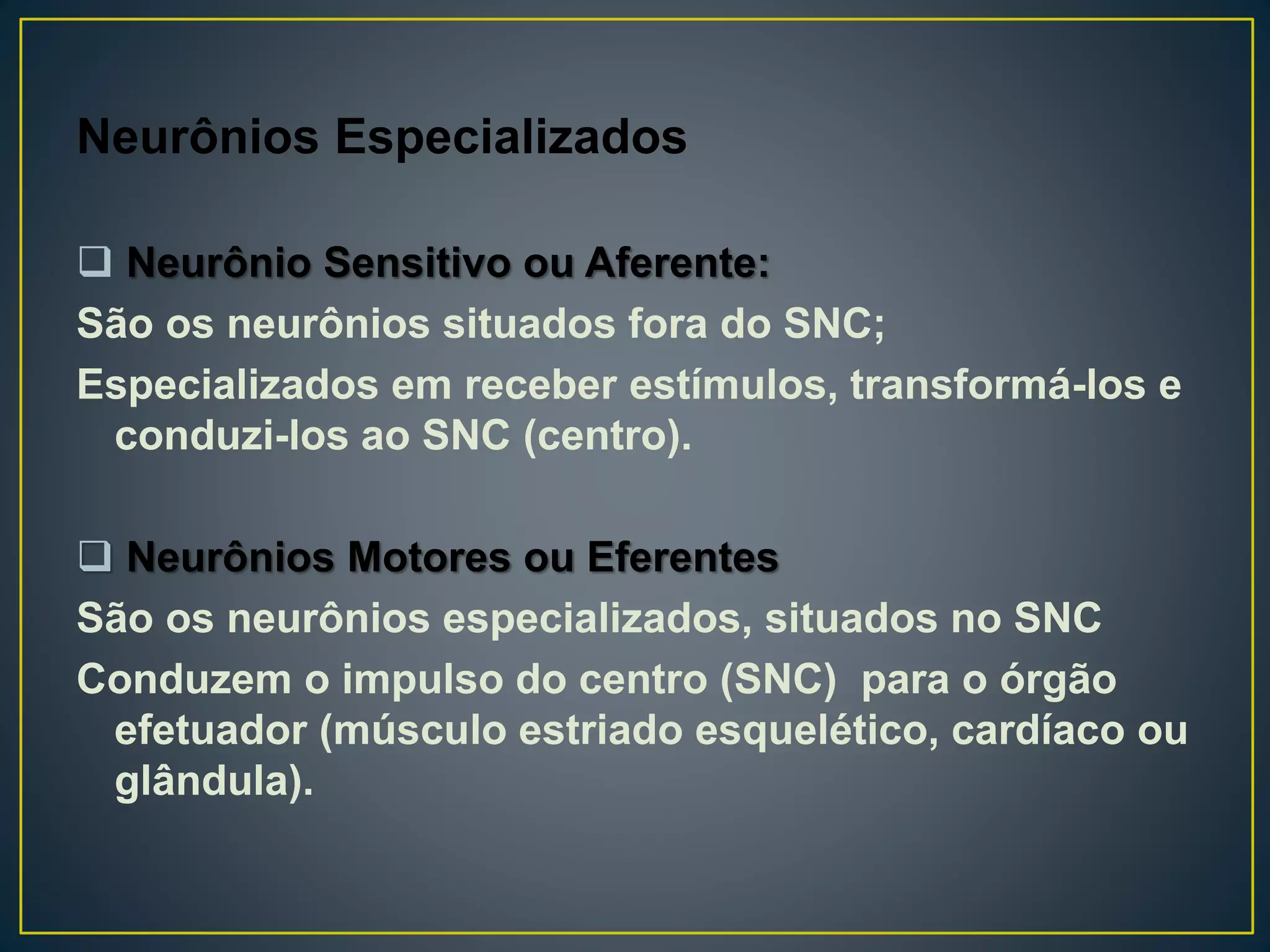 Neurônios Especializados
 Neurônio Sensitivo ou Aferente:
São os neurônios situados fora do SNC;
Especializados em receber estímulos, transformá-los e
conduzi-los ao SNC (centro).
 Neurônios Motores ou Eferentes
São os neurônios especializados, situados no SNC
Conduzem o impulso do centro (SNC) para o órgão
efetuador (músculo estriado esquelético, cardíaco ou
glândula).
 