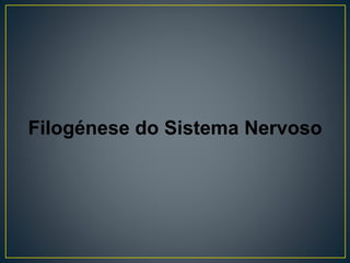 Filogénese do Sistema Nervoso
 
