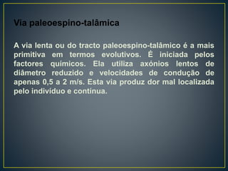 Via paleoespino-talâmica
A via lenta ou do tracto paleoespino-talâmico é a mais
primitiva em termos evolutivos. É iniciada pelos
factores químicos. Ela utiliza axónios lentos de
diâmetro reduzido e velocidades de condução de
apenas 0,5 a 2 m/s. Esta via produz dor mal localizada
pelo indivíduo e contínua.
 