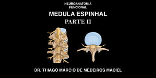 NEUROANATOMIA
FUNCIONAL
MEDULA ESPINHAL
DR. THIAGO MÁRCIO DE MEDEIROS MACIEL
PARTE II
 