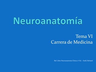 Tema VI
Carrera de Medicina
Ref. Libro Neuroanatomia Clínica 7ª Ed. – Snell, Richard
 