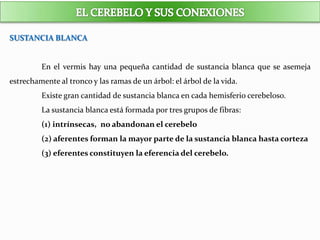 SUSTANCIA BLANCA
En el vermis hay una pequeña cantidad de sustancia blanca que se asemeja
estrechamente al tronco y las ramas de un árbol: el árbol de la vida.
Existe gran cantidad de sustancia blanca en cada hemisferio cerebeloso.
La sustancia blanca está formada por tres grupos de fibras:
(1) intrínsecas, no abandonan el cerebelo
(2) aferentes forman la mayor parte de la sustancia blanca hasta corteza
(3) eferentes constituyen la eferencia del cerebelo.
 