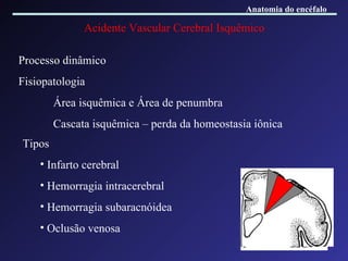 Acidente Vascular Cerebral Isquêmico Tipos Infarto cerebral Hemorragia intracerebral Hemorragia subaracnóidea Oclusão venosa Processo dinâmico Fisiopatologia Área isquêmica e Área de penumbra Cascata isquêmica – perda da homeostasia iônica Anatomia do encéfalo 