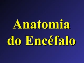 Anatomia do Encéfalo 