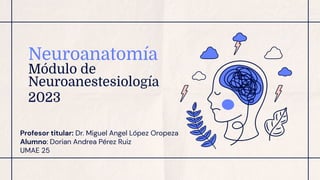 Neuroanatomía
Módulo de
Neuroanestesiología
2023
Profesor titular: Dr. Miguel Angel López Oropeza
Alumno: Dorian Andrea Pérez Ruiz
UMAE 25
 