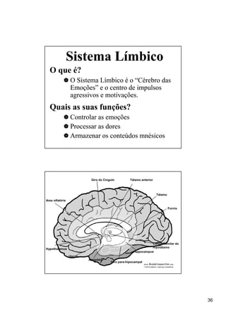 Sistema Límbico
  O que é?
                 O Sistema Límbico é o “Cérebro das
                 Emoções”
                 Emoções” e o centro de impulsos
                 agressivos e motivações.
  Quais as suas funções?
                 Controlar as emoções
                 Processar as dores
                 Armazenar os conteúdos mnésicos




                          Giro do Cingulo         Tálamo anterior



                                                                    Tálamo
Area olfatória

                                                                             Fornix




                                                               Corpo Mamilar do
                                                               Hipotálamo
Hypothalamus
                                                    Hippocampus
                 Uncus
                         Amigdala
                                      Giro para-hipocampal




                                                                                      36
 
